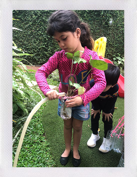 At Ceria Montessori childrens are encouraged to be in touch with nature and learn how to take care of their surroundings, through these positive habits all of their basic senses will be stimulated